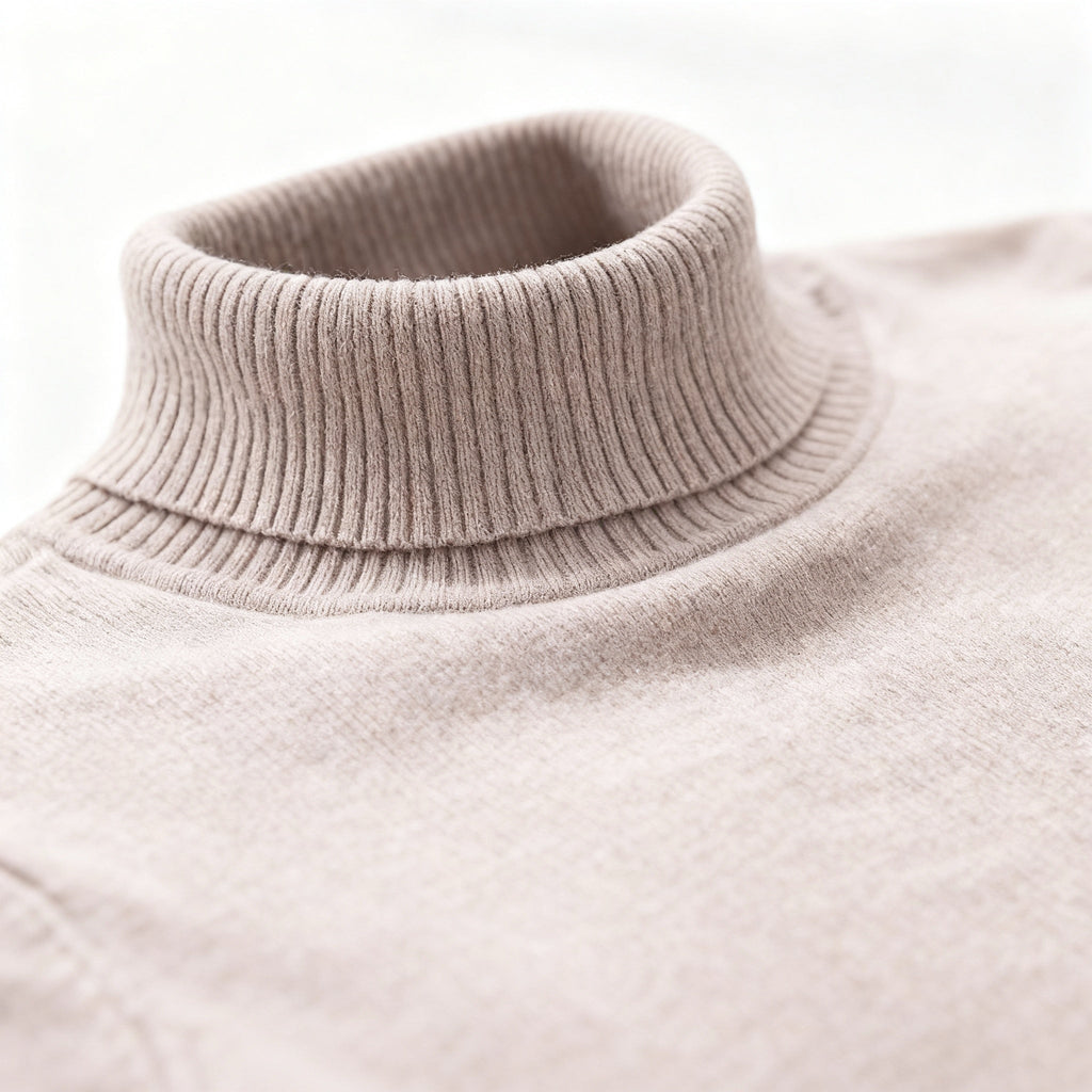 Hilarion | Pull Col Roulé Coupe Ajustée