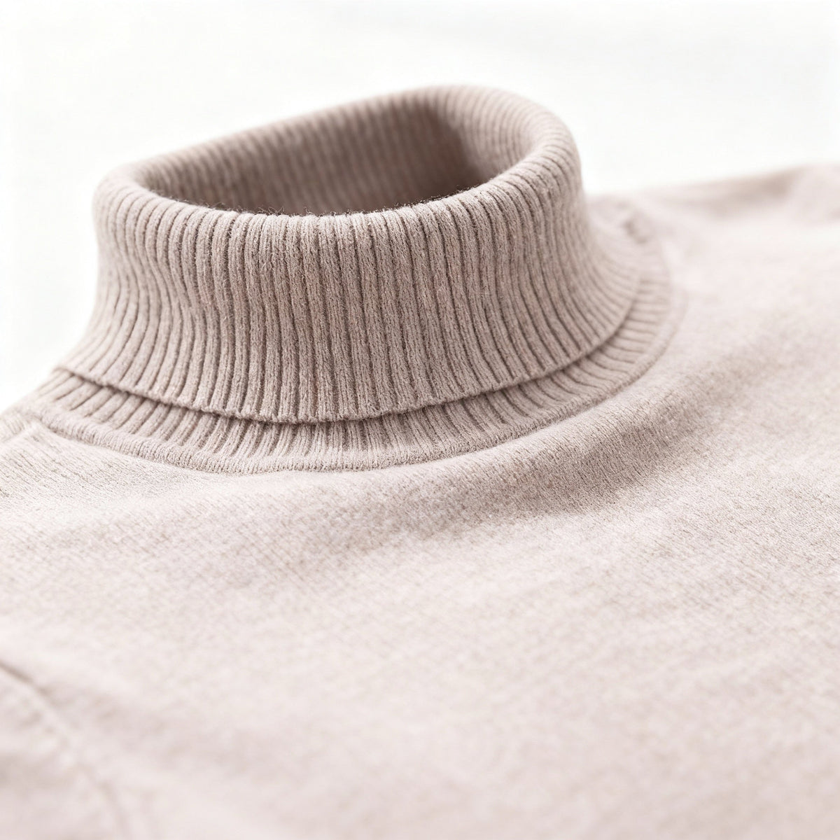 Hilarion | Pull Col Roulé Coupe Ajustée