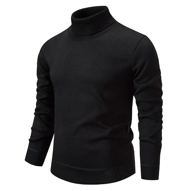 Hilarion | Pull Col Roulé Coupe Ajustée